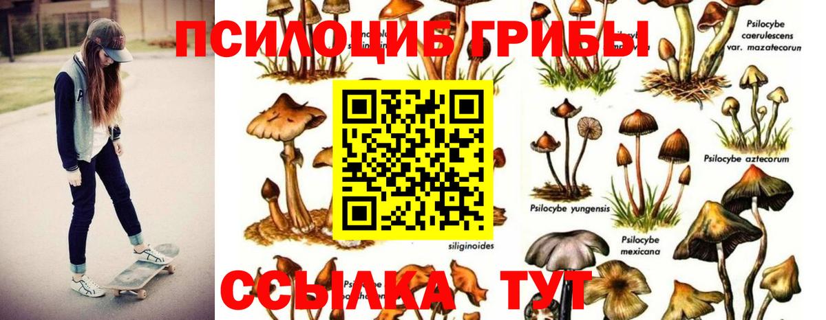 Галлюциногенные грибы мицелий  Галлюциногенные грибы Psilocybine cubensis  Вход с VPN  Жуковский 